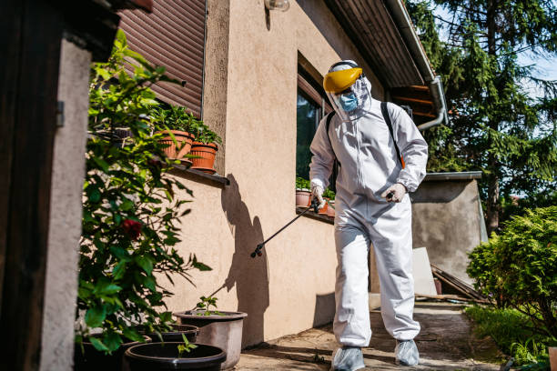 Best Pest Inspection Near Me  in Forsyth, GA