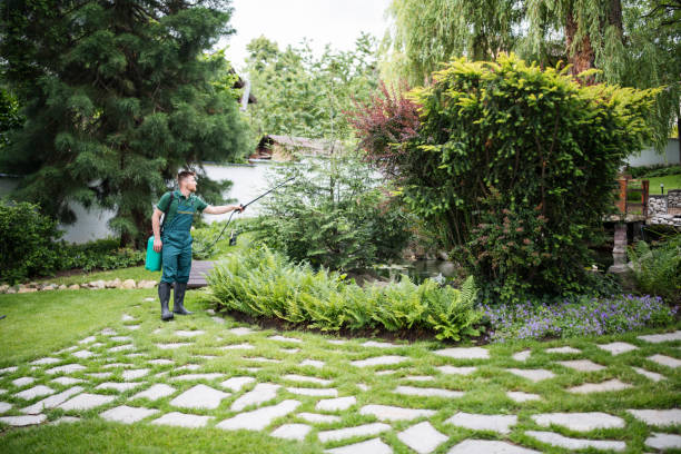 Best Affordable Pest Control Services  in Forsyth, GA