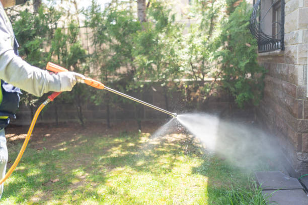 Best Insect Control  in Forsyth, GA
