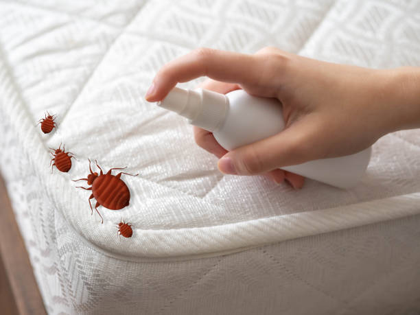 Flea Control Services in Forsyth, GA