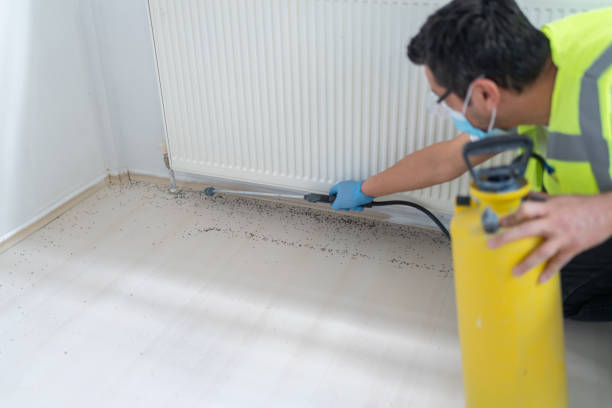 Best Commercial Pest Control Services  in Forsyth, GA